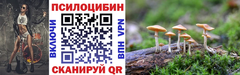 Купить  Щучье  Галлюциногенные грибы Psilocybe 